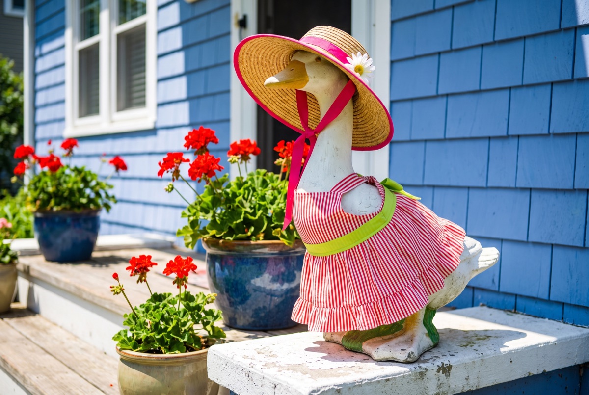 A concrete porch goose in a wide straw sun hat with a pink ribbon and a red-and-white striped dress, standing on a porch with blue shake siding and pots of red geraniums.